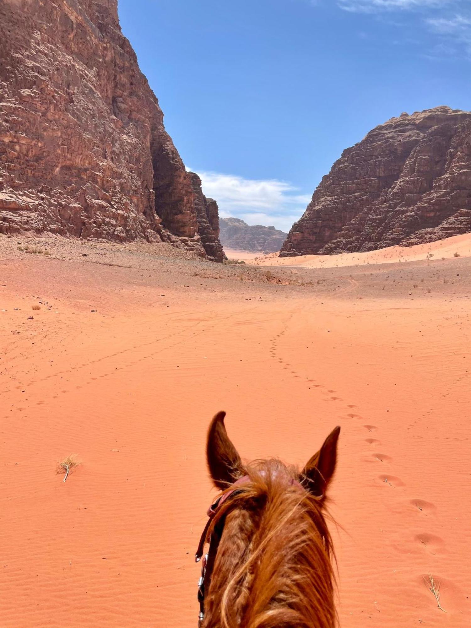 Salameh'S Bedouin Camp Hotel Wadi Rum Exterior foto